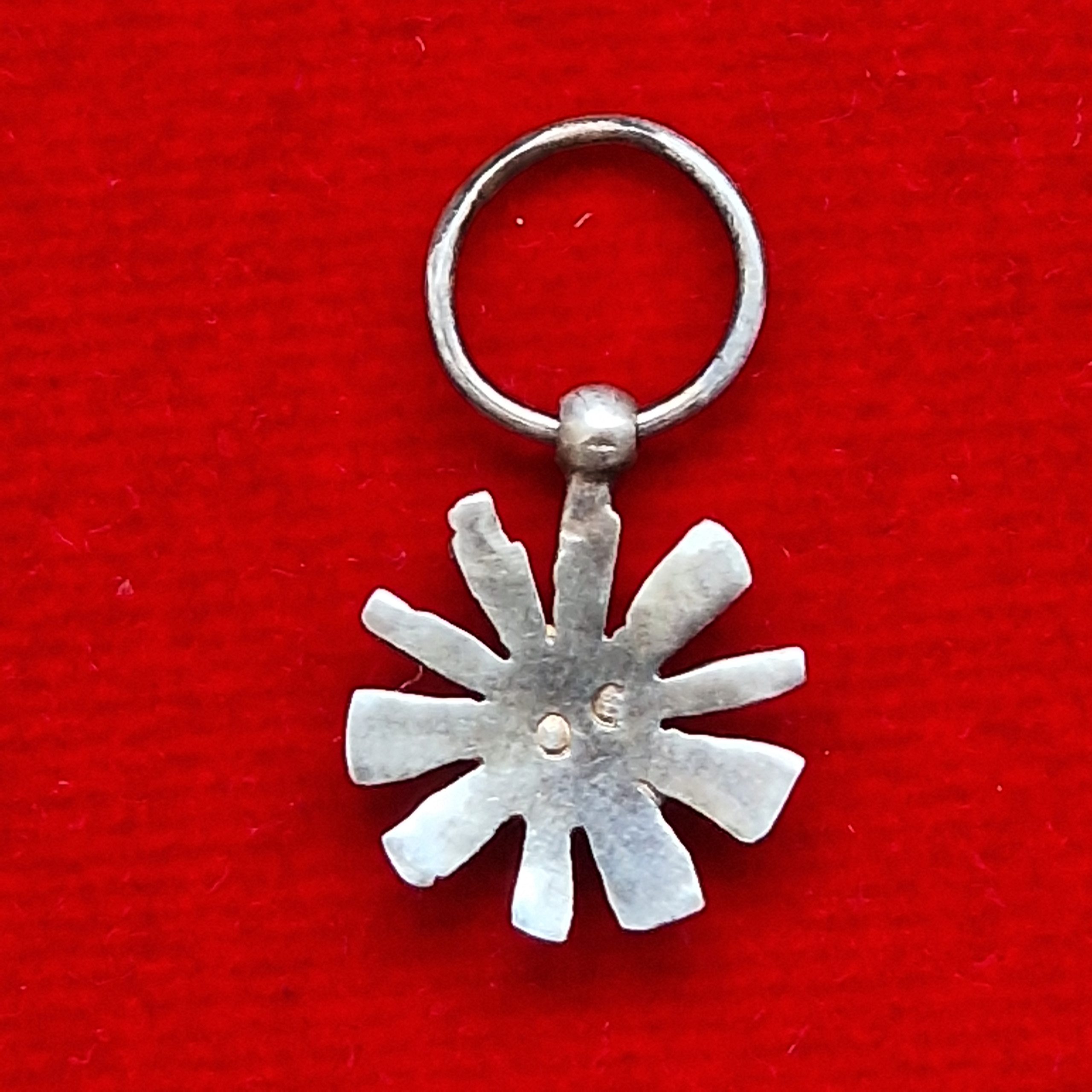 Ordinul Tudor Vladimirescu - clasa 4 (miniatură) - imagine 2