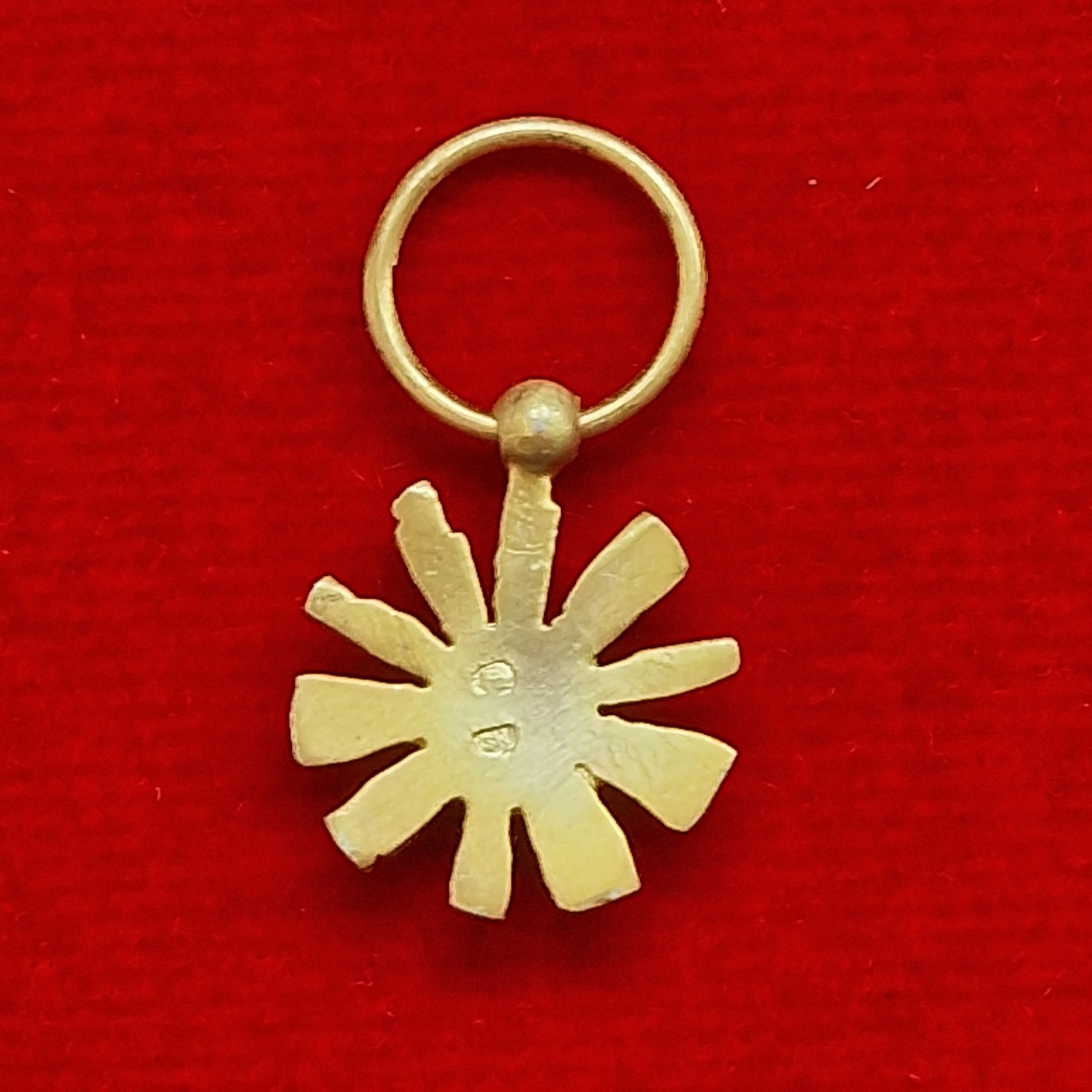 Ordinul Tudor Vladimirescu - clasa 5 (miniatură) - imagine 2