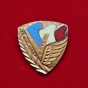 Insigna Boteni 22 Decembrie 1989 (model 2)