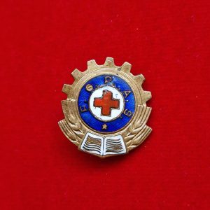 Insigna Fii Gata Pentru Apărarea Sanitară (medie)