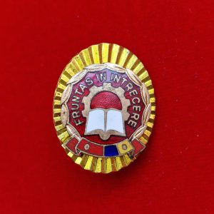 Insigna Fruntaș în întrecere (oval, aur)