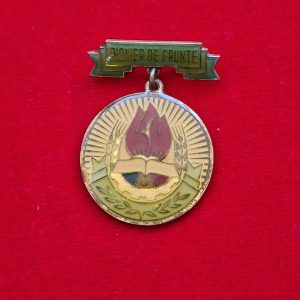 Insigna Pionier de frunte