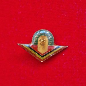 Insigna Pionier sportiv (convex)
