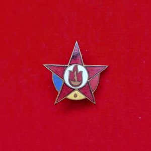 Insigna Pionier steluță (centru alb)