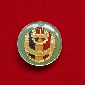 Insigna Pionier Pentru apărarea patriei