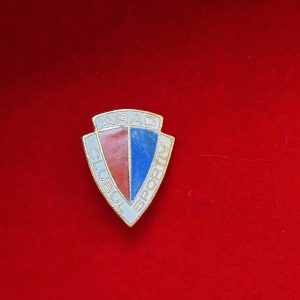 Insigna Arad Clubul Sportiv