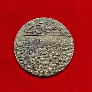 Placheta 20 de ani de la revoluția română din 1989 - Consiliul Județean Timiș